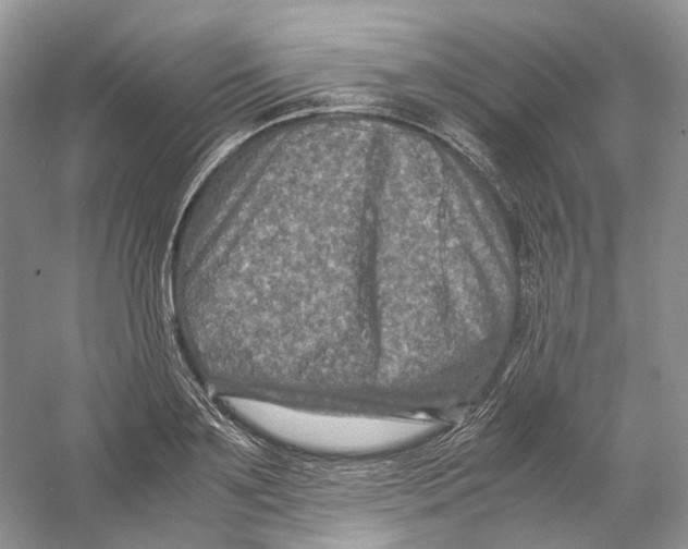 X0000059250891200511111638