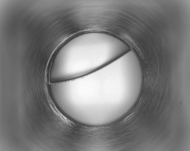 X0000059250892200511111638