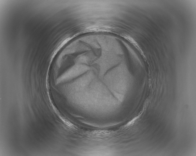 X0000059250893200511111638