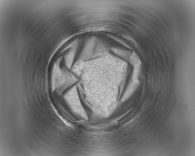 X0000059250894200511111638