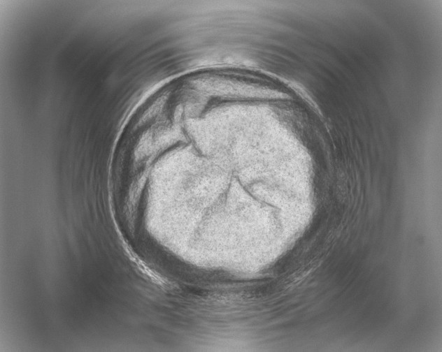 X0000059250895200511111638