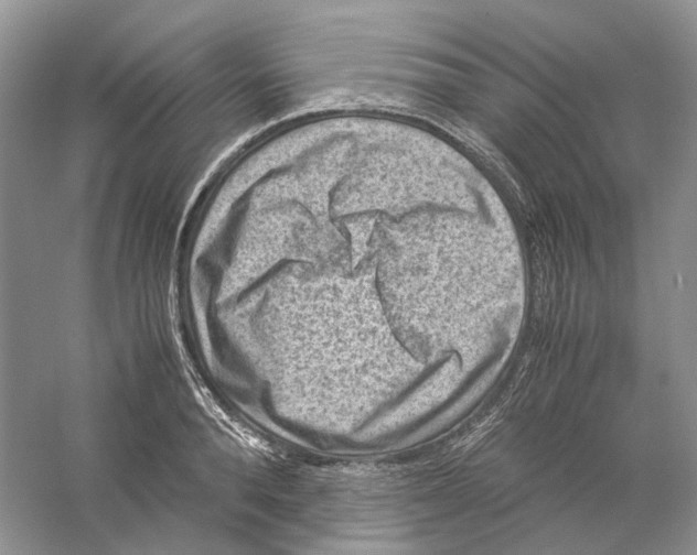 X0000059250896200511111638