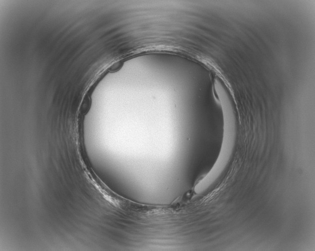 X0000059250898200511111638