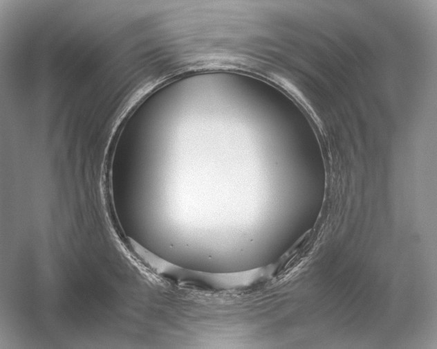 X0000059250901200511111638