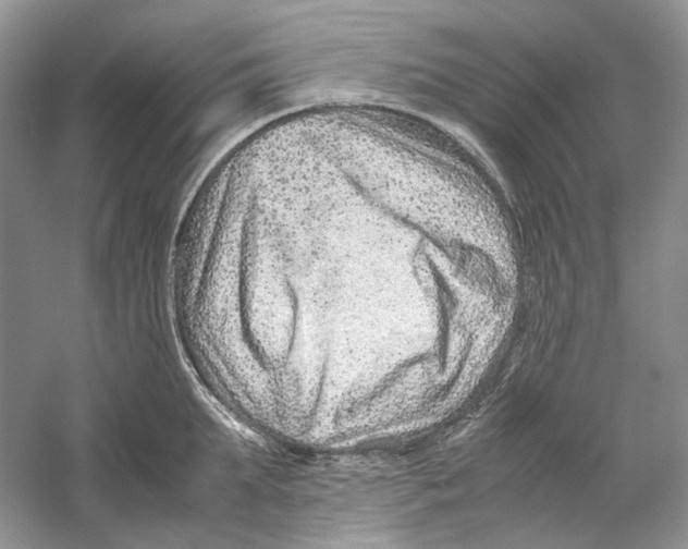 X0000059250903200511111638