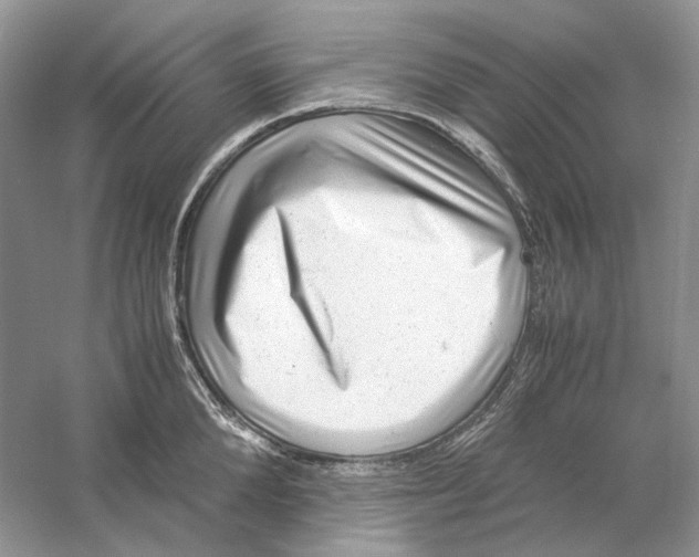 X0000059250904200511111638