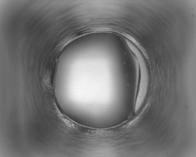 X0000059250905200511111638