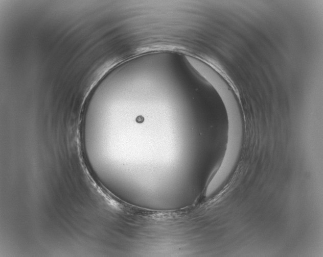 X0000059250906200511111638