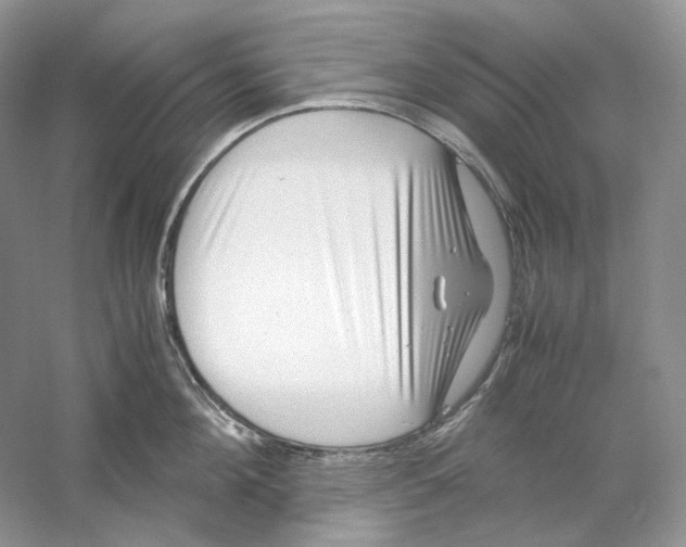 X0000059250908200511111638