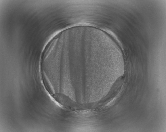 X0000059250910200511111638