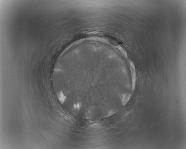 X0000059250913200511111637