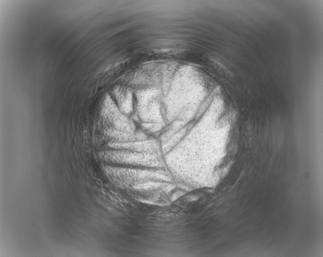 X0000059250917200511111637