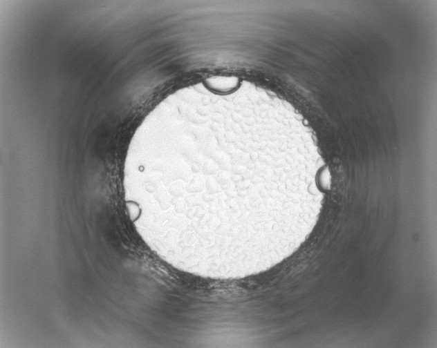 X0000059250918200511111637