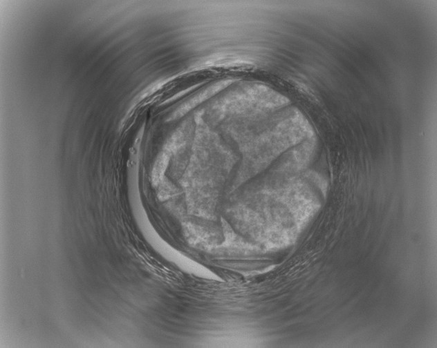 X0000059250920200511111637