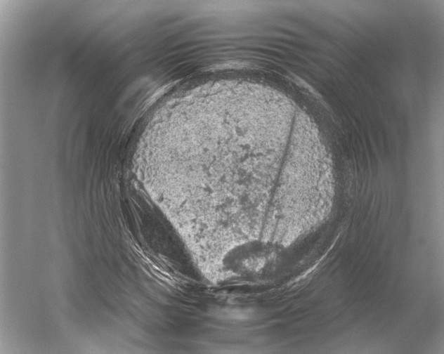 X0000059250921200511111637