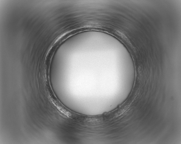 X0000059250931200511111637