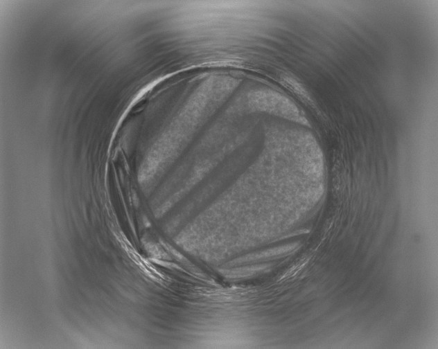 X0000059250932200511111637