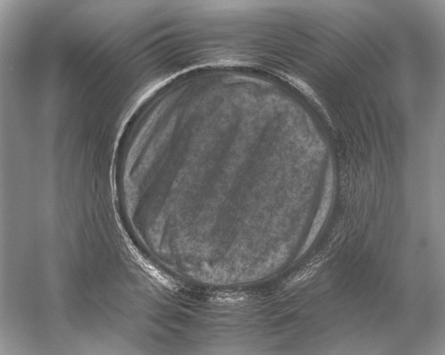 X0000059250935200511111637