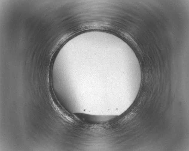 X0000059250938200511111637