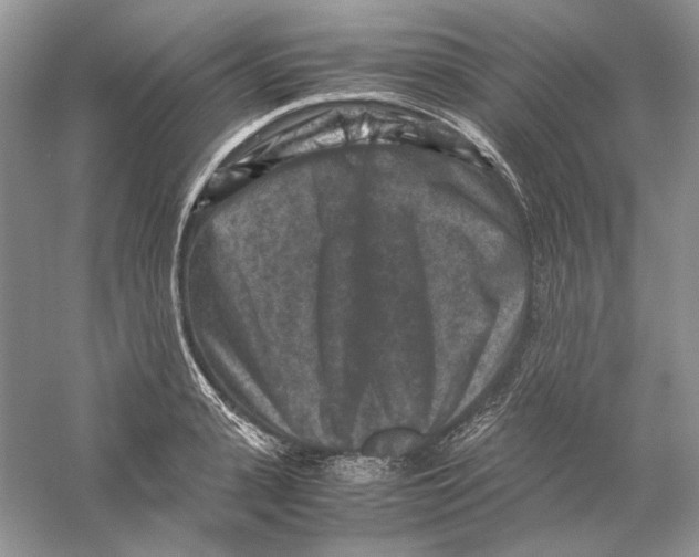 X0000059250943200511111637