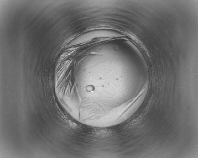 X0000059250945200511111637