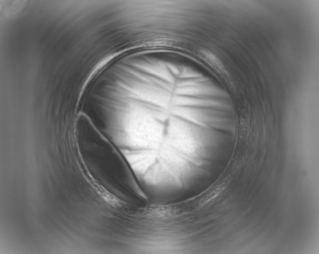 X0000059250948200511111637