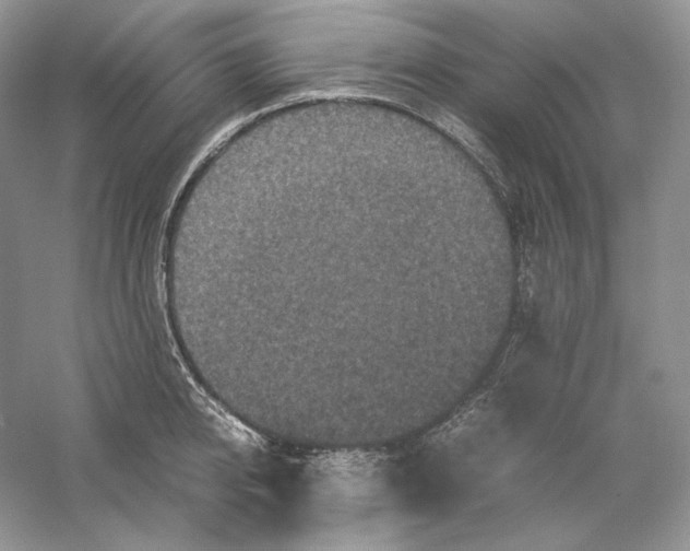 X0000059250950200511111637