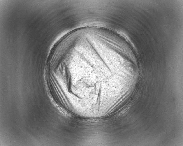 X0000059250952200511111638