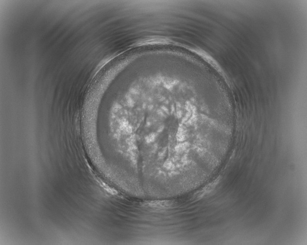 X0000059250953200511111638