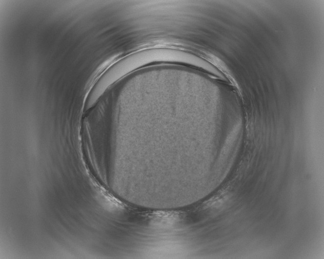 X0000059250954200511111638