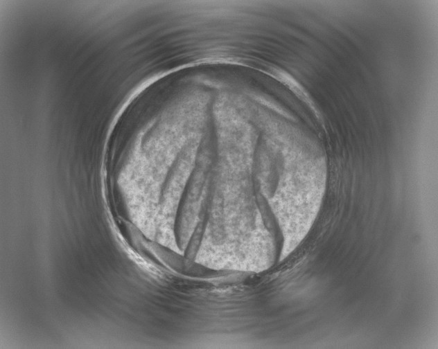 X0000059250955200511111638