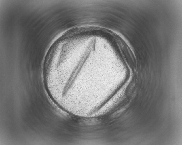 X0000059250957200511111638