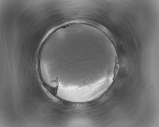 X0000059250958200511111638