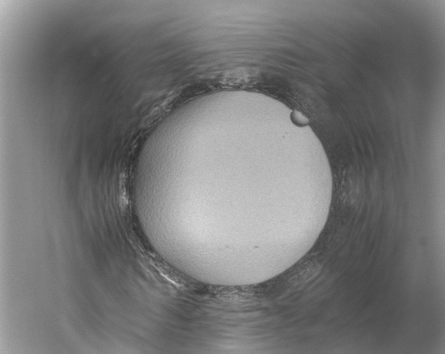 X0000059250962200511111637