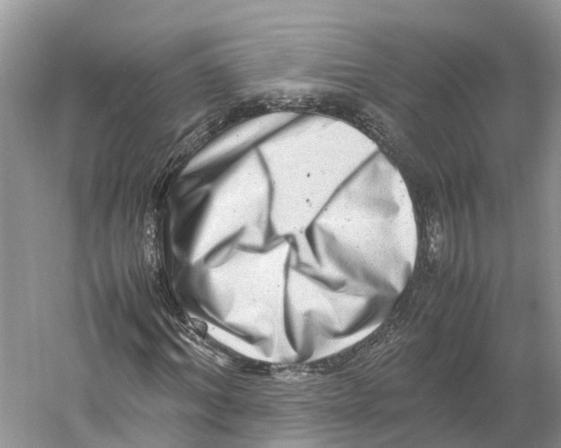 X0000059250964200511111637