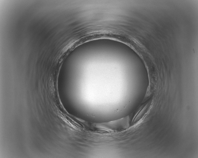 X0000059250969200511111637