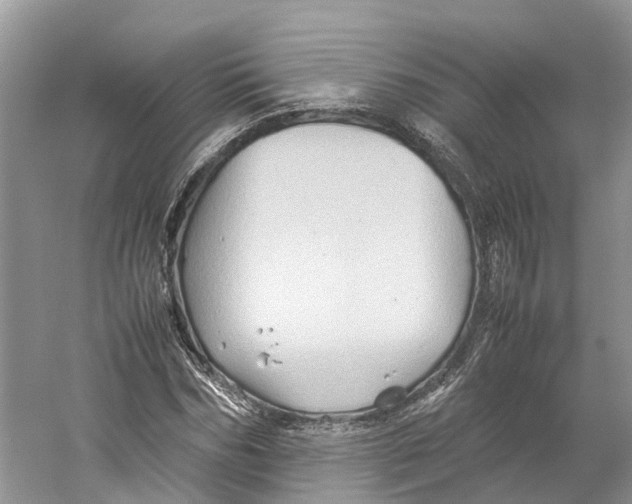 X0000059250970200511111637