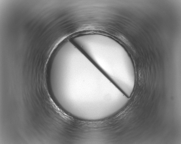 X0000059250972200511111637