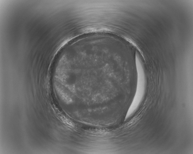 X0000059250975200511111637