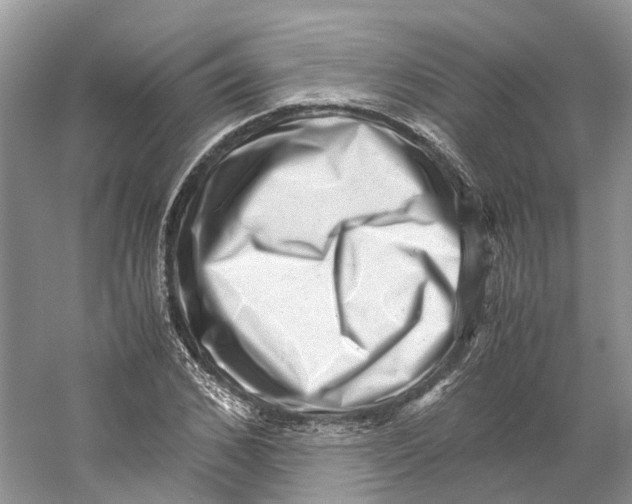 X0000059250976200511111637