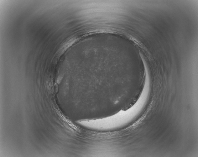 X0000059250977200511111637