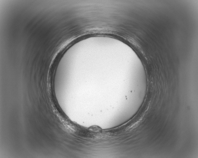 X0000059250981200511111637