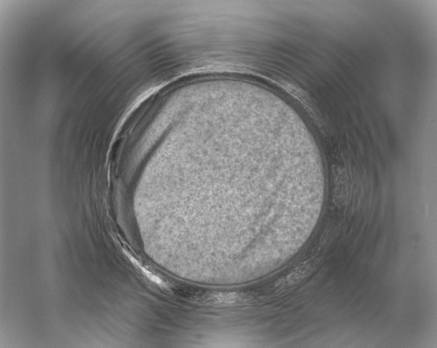 X0000059250982200511111636