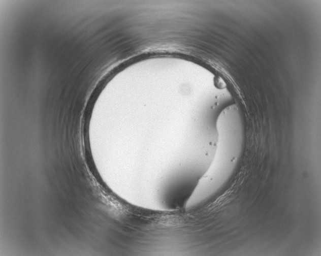 X0000059250984200511111636