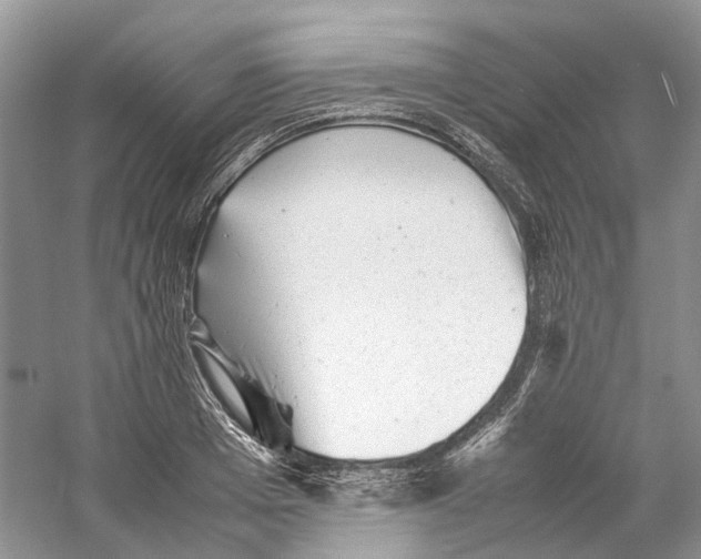 X0000059250985200511111636