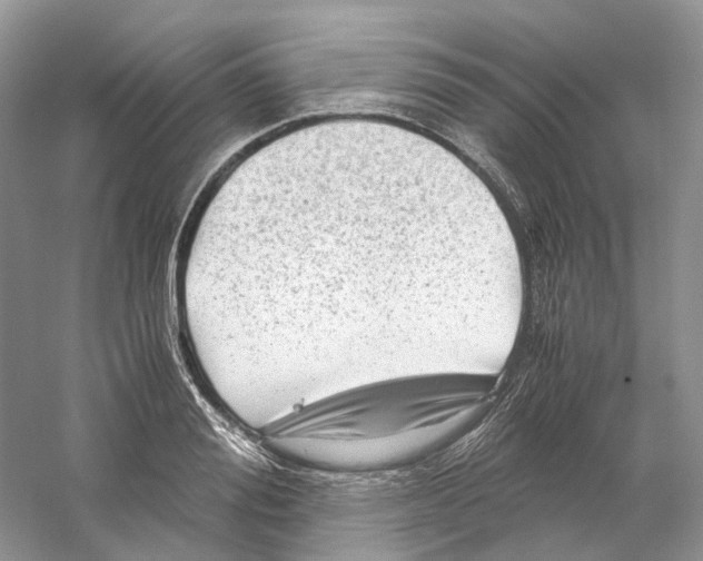 X0000059250988200511111636