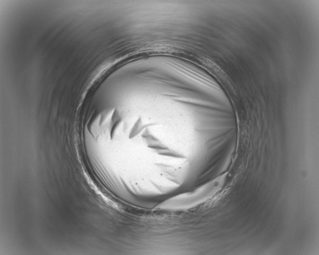 X0000059250989200511111636