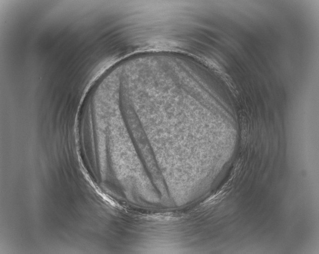 X0000059250990200511111636