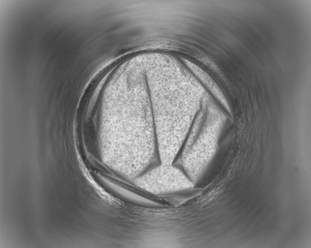 X0000059250991200511111636