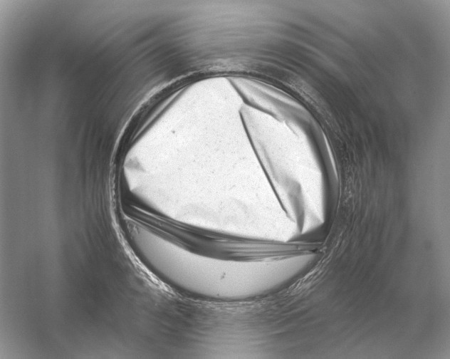 X0000059250992200511111636